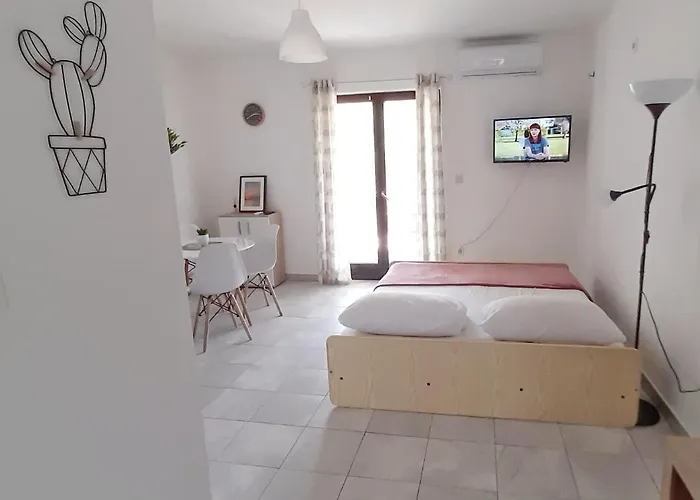 Studio Stela 3